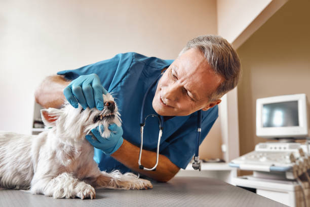 Best Emergency Gum Treatment in Hillsboro, OH